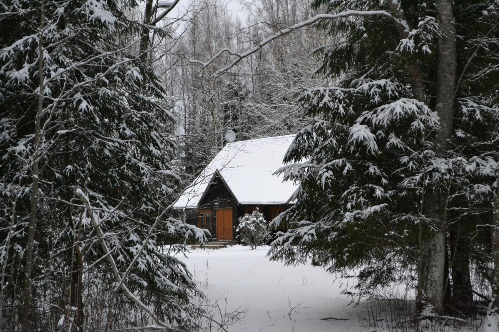 Toosikannu Nature Resort Karu Bagian luar foto